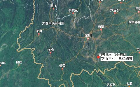 三七粉價格，三七花價格，三七的功效