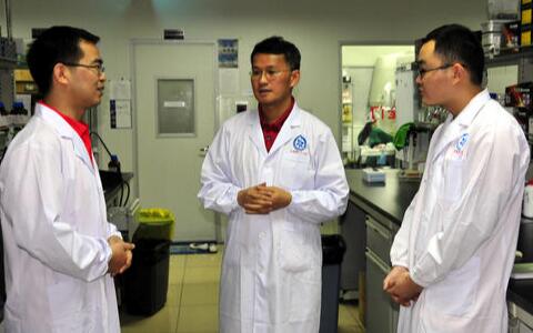 三七粉價格，三七花價格，三七的功效